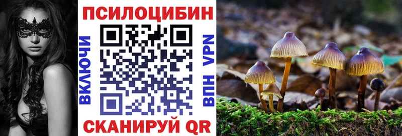 купить наркотик  Демидов  Псилоцибиновые грибы мицелий 
